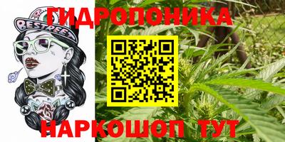 гидра Кулебаки